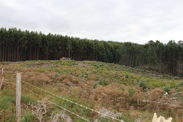 LOT 6 Harwoods Road, Castle Forbes Bay TAS 7116