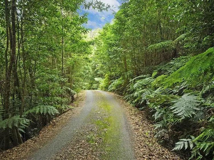 Fifth view of Homely house listing, 134 Piggabeen Road, Currumbin Valley QLD 4223