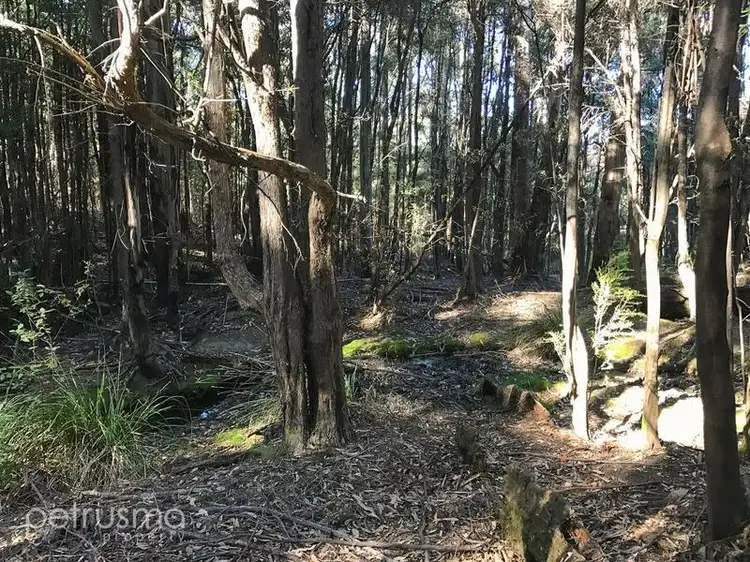 Main view of Homely land listing, 401 Woodbridge Hill Road, Woodbridge TAS 7162