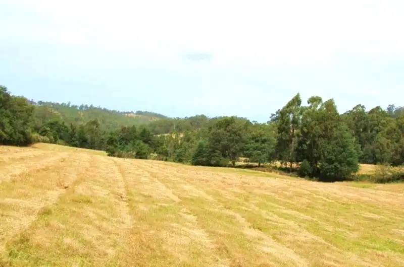 Main view of Homely land listing, Glenbervie Road End, Dover TAS 7117