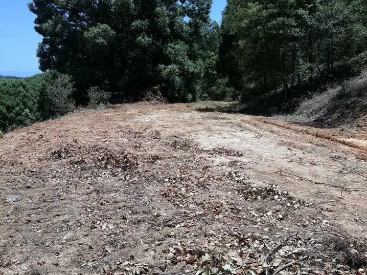 Fourth view of Homely land listing, 4, LOT 4, 000 Fernvale Road, Fernvale NSW 2484