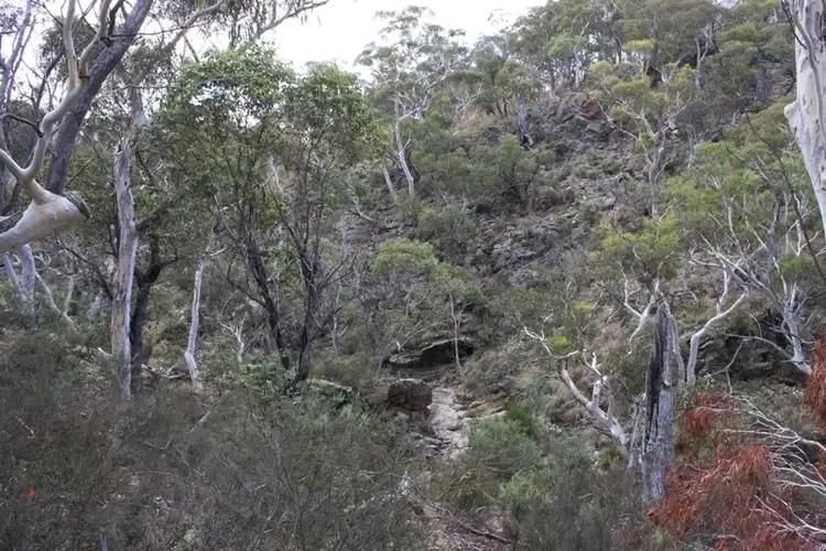 Seventh view of Homely land listing, Lot 2 Beresford Road, Numeralla NSW 2630