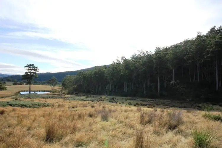Second view of Homely land listing, 26 acres off Abbots Road, Nicholls Rivulet TAS 7112