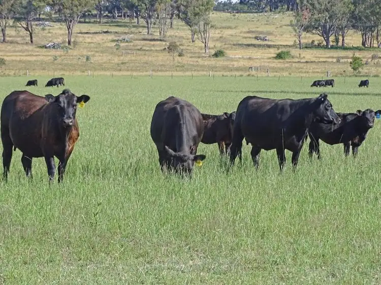 . Muldoons, Guyra NSW 2365