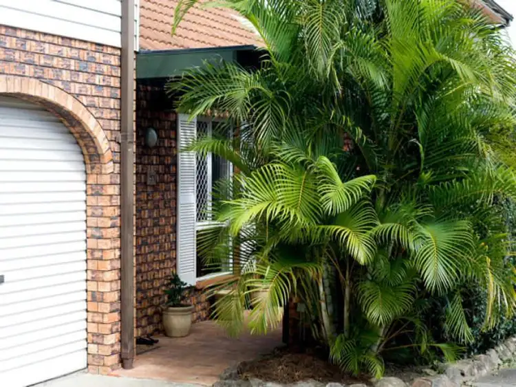 Second view of Homely townhouse listing, 3/17 Molucca Ave, Palm Beach QLD 4221