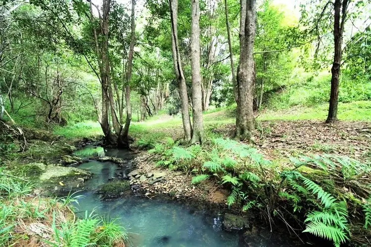 Sixth view of Homely land listing, 5 Wongaree Way, Currumbin Valley QLD 4223