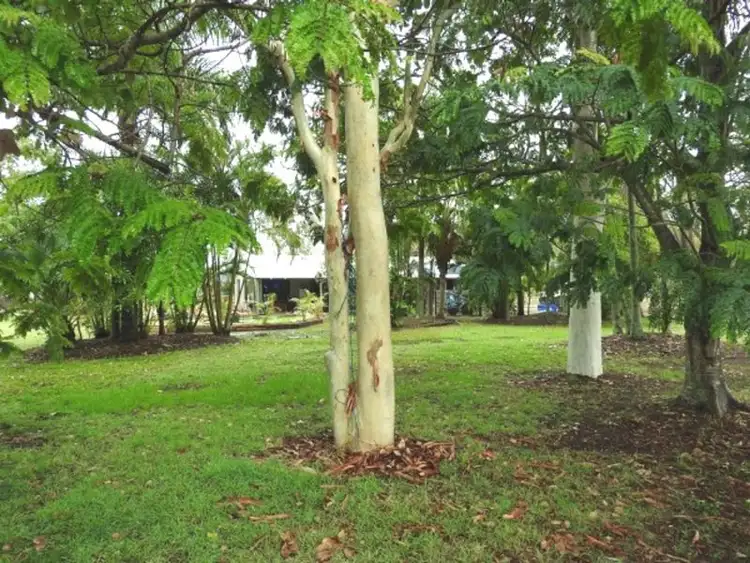 20 McKinnon Road, Black River QLD 4818