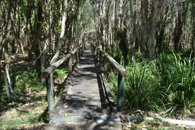 Seventh view of Homely house listing, 9 Dame Patti Drive, Sunrise Beach QLD 4567
