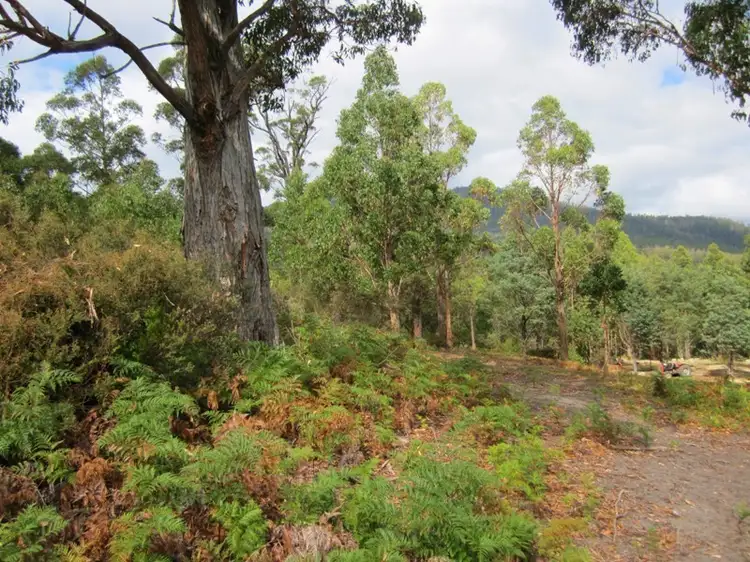 Fourth view of Homely land listing, Lot 2 Off Pelverata Road, Pelverata TAS 7150