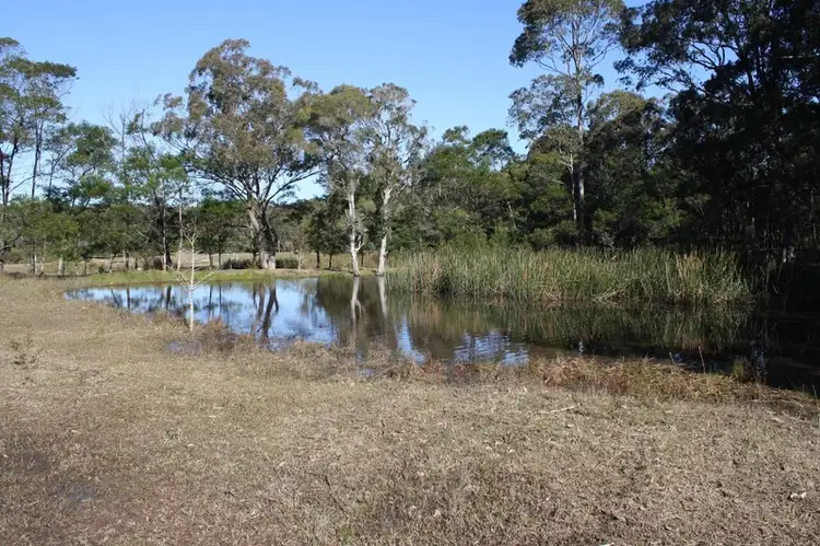 Sixth view of Homely land listing, Lot 208 Daisy Place, Worrigee NSW 2540