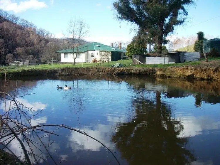 Main view of Homely rural property listing, 325 Stanley Road, Myrtleford VIC 3737