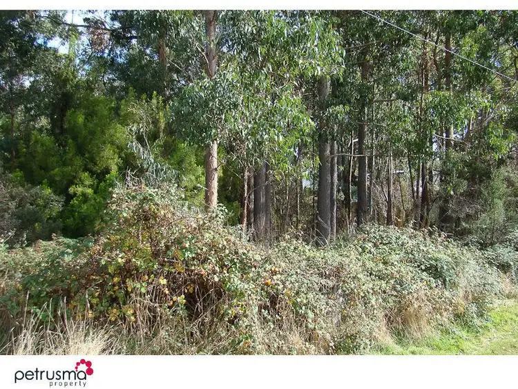 Fourth view of Homely land listing, 433-435 Abels Bay Road, Abels Bay TAS 7112