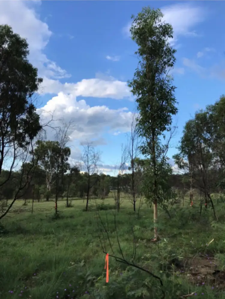 Main view of Homely land listing, Lot 6 Kingaroy Cooyar Road, Tarong QLD 4615