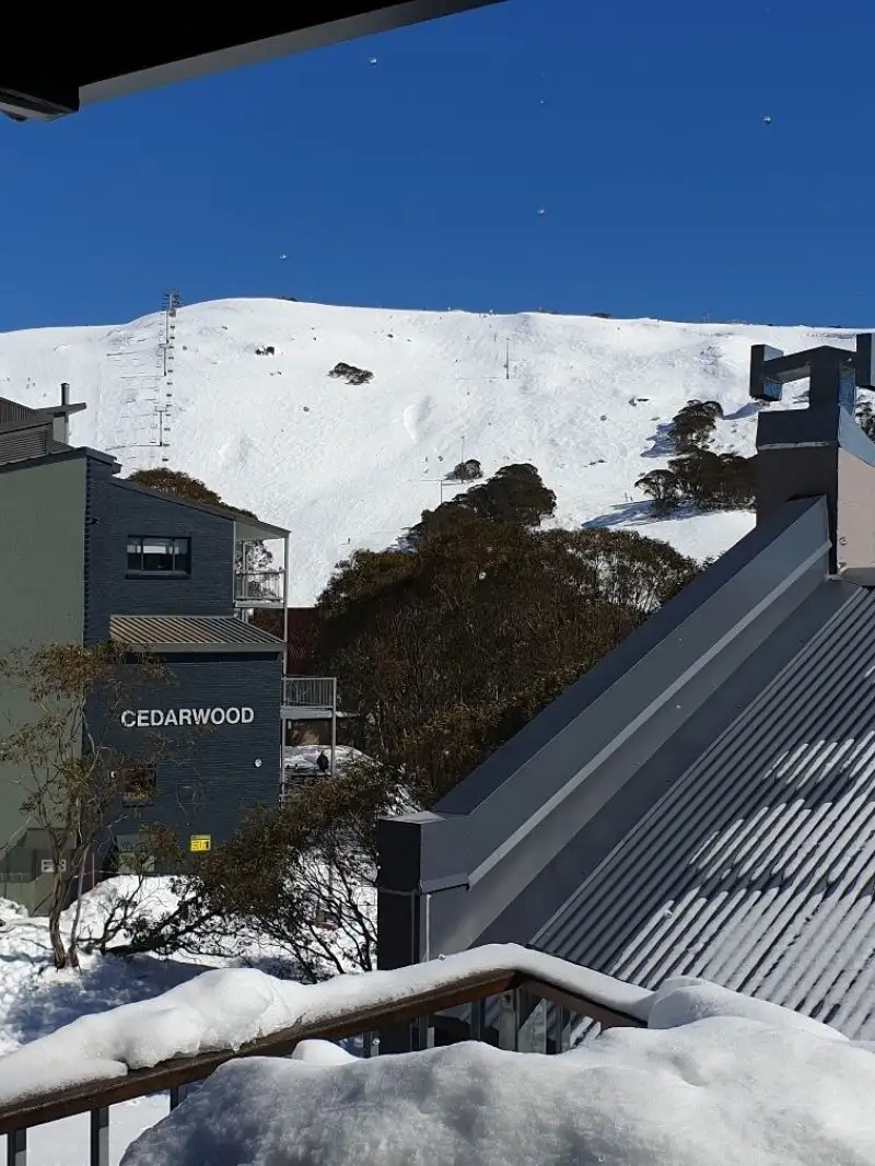 Main view of Homely apartment listing, 5/5 Schuss Street, Falls Creek VIC 3699