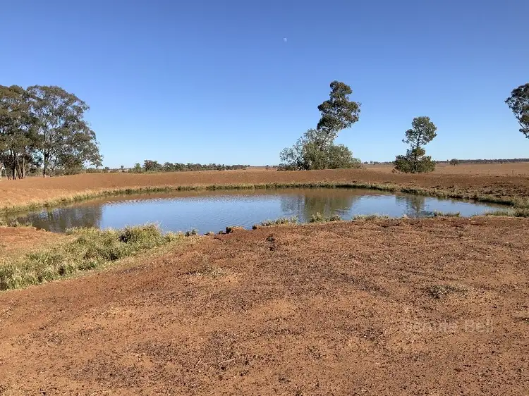 Main view of Homely rural property listing, . Glenleigh, Tullamore NSW 2874