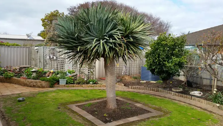 Sixth view of Homely house listing, 27 Cowrie Dr, Seaford Rise SA 5169