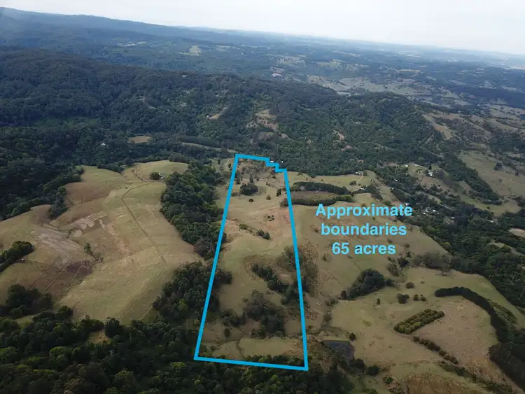 591 Tuntable Creek Road, Tuntable Creek NSW 2480