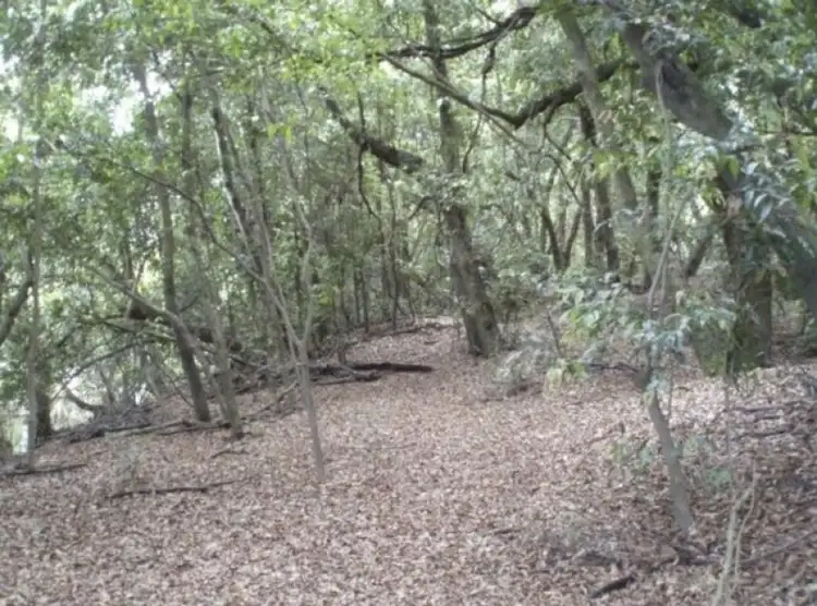 Third view of Homely rural property listing, Lots 32 & 54 Ryan’s Gully Lane, Eatonsville NSW 2460