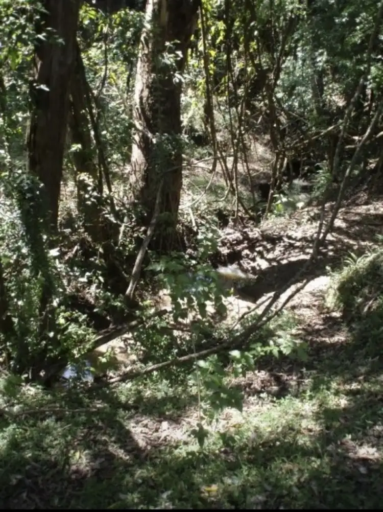 Sixth view of Homely rural property listing, Lots 32 & 54 Ryan’s Gully Lane, Eatonsville NSW 2460