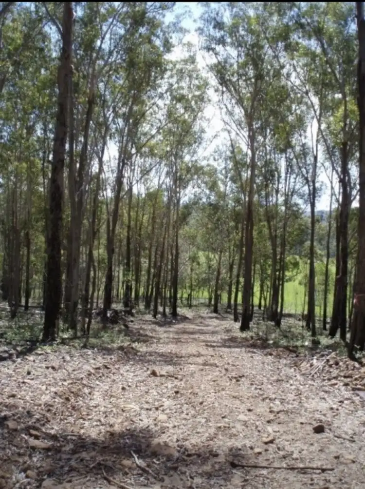 Seventh view of Homely rural property listing, Lots 32 & 54 Ryan’s Gully Lane, Eatonsville NSW 2460
