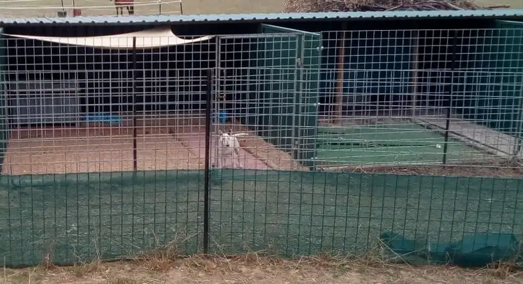 Seventh view of Homely rural property listing, Address available on request