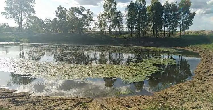 217 McPhee Road, Durong QLD 4610