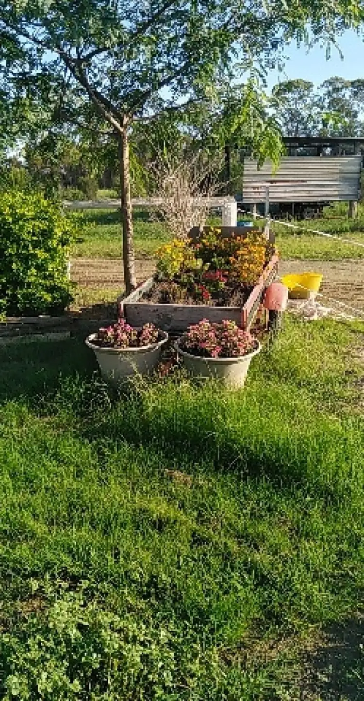 Second view of Homely rural property listing, 217 McPhee Road, Durong QLD 4610