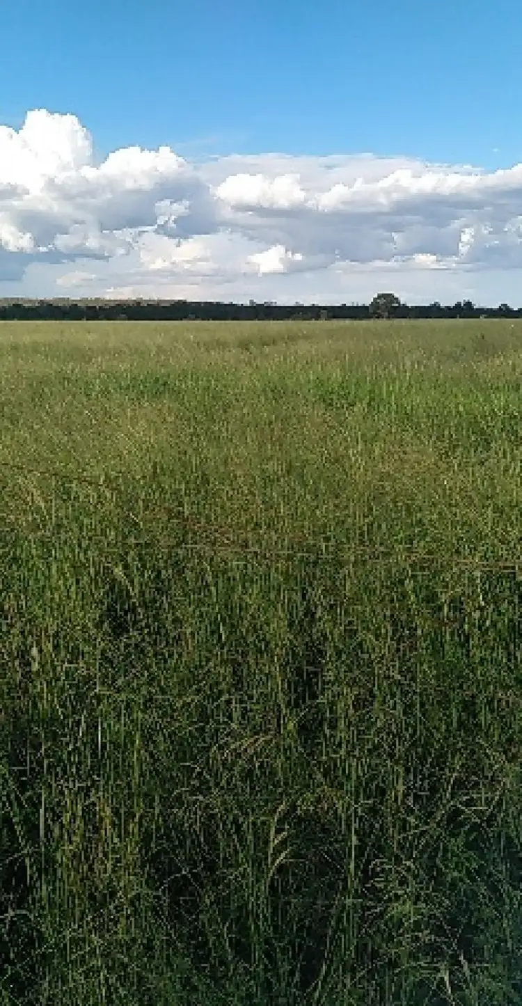 Fifth view of Homely rural property listing, 217 McPhee Road, Durong QLD 4610