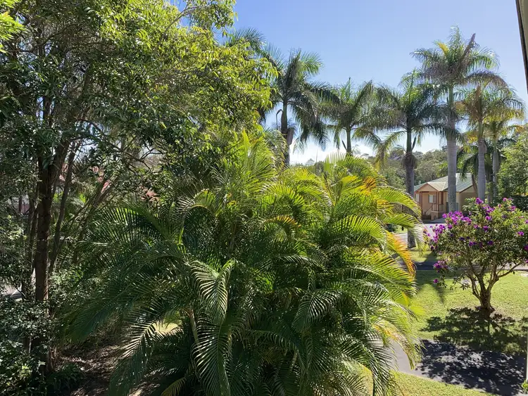 Third view of Homely unit listing, 8/11-19 Cooper Street, Byron Bay NSW 2481