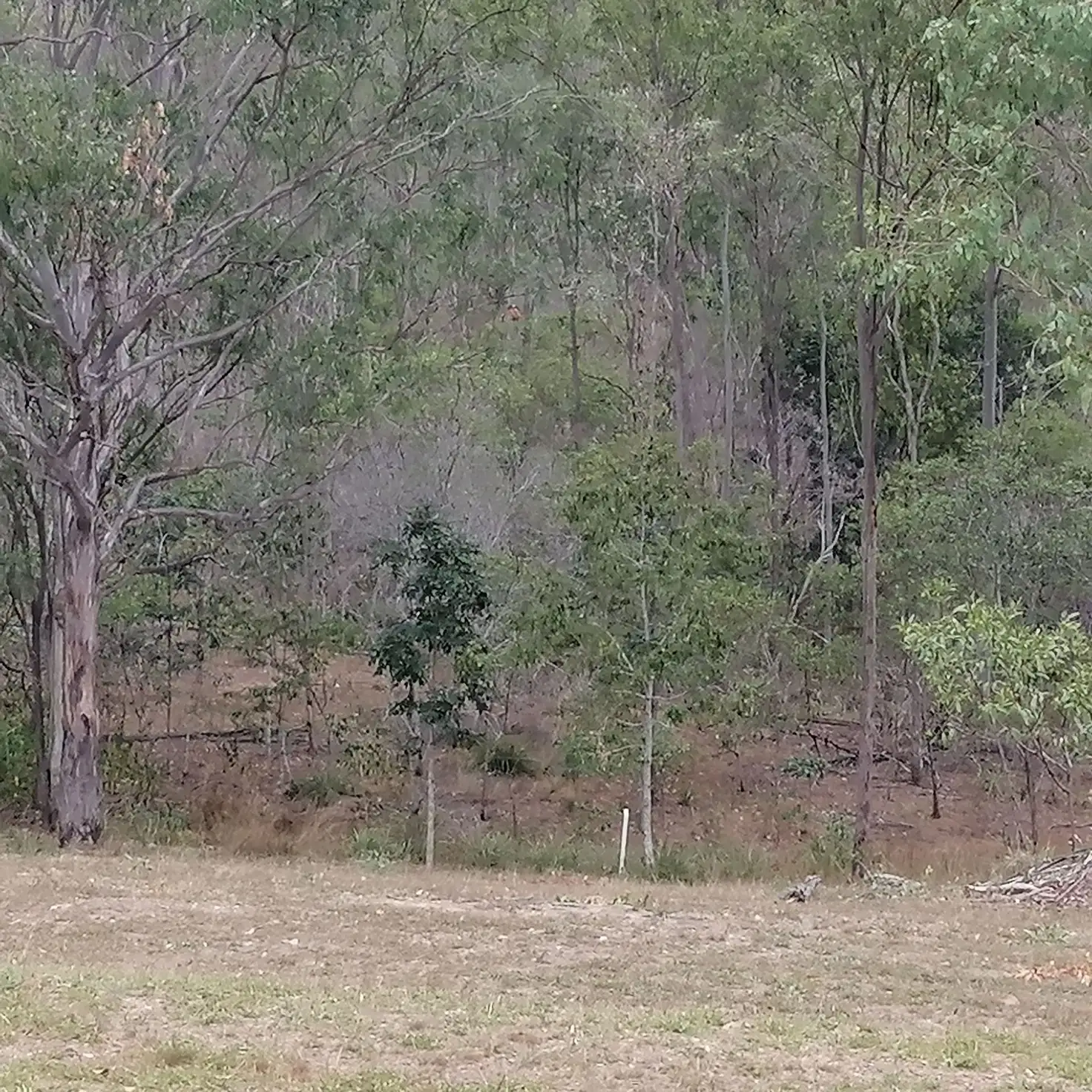 Main view of Homely land listing, 75/4528 Bundaberg Gin Gin Rd, Gin Gin QLD 4671