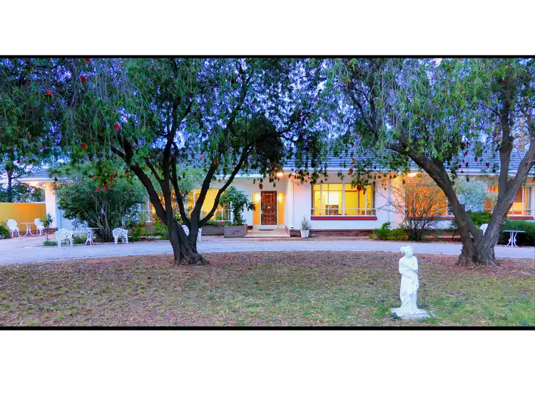 96 Kingston Road, Risdon Park SA 5540