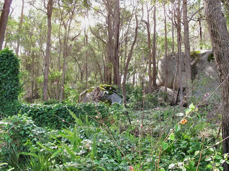 Fourth view of Homely house listing, 5 Berridge Street, Denmark WA 6333