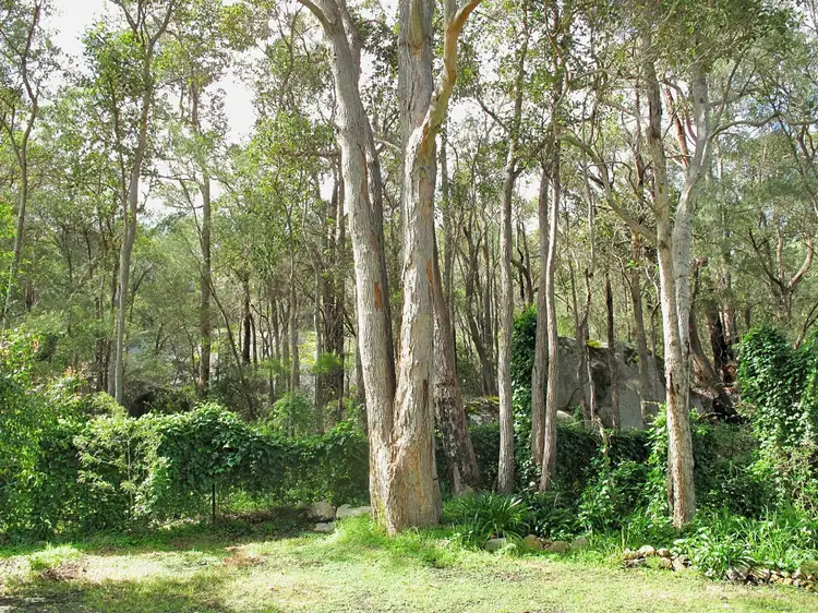 Fifth view of Homely house listing, 5 Berridge Street, Denmark WA 6333