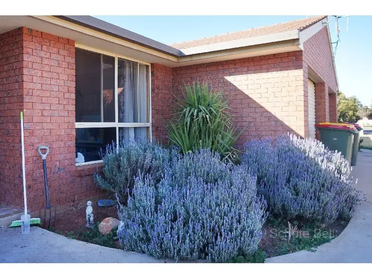 Main view of Homely semi-detached listing, 7 & 8 / 104 Garden Ave, Narromine NSW 2821