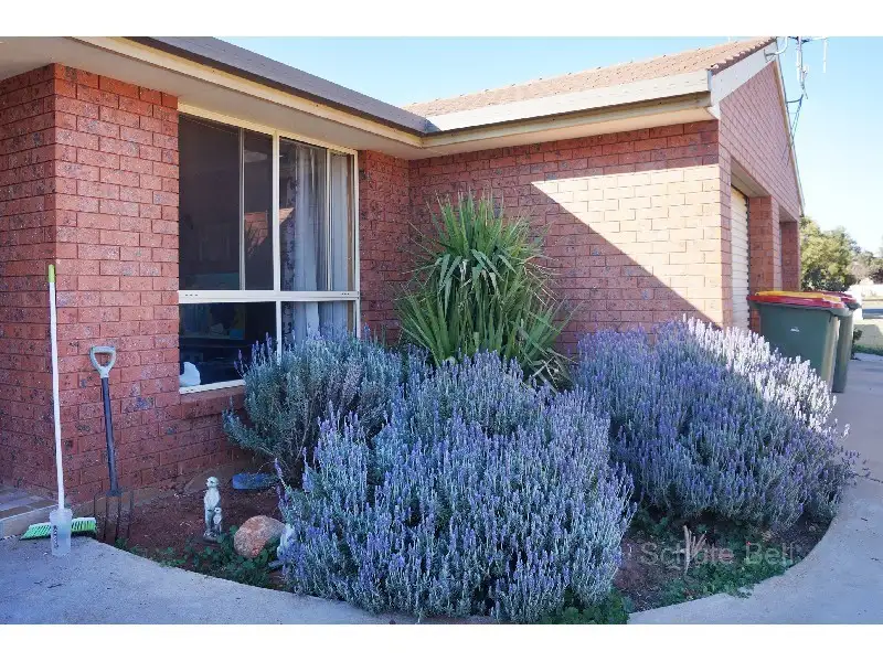 Main view of Homely semi-detached listing, 7 & 8 / 104 Garden Ave, Narromine NSW 2821