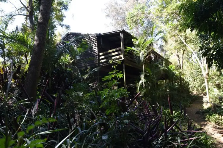 Main view of Homely house listing, 4 Orchis Drive, Tamborine Mountain QLD 4272
