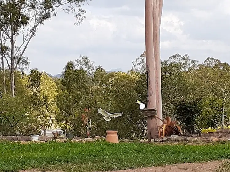 Third view of Homely land listing, 8 Haddock Drive, Burua QLD 4680