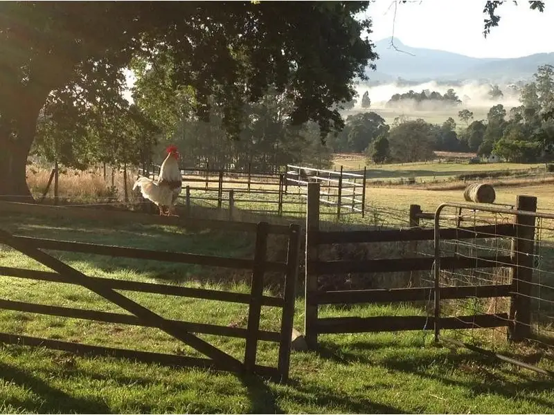 Main view of Homely house listing, 111 Snake Track, Legerwood TAS 7263
