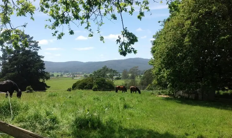 Fifth view of Homely house listing, 111 Snake Track, Legerwood TAS 7263