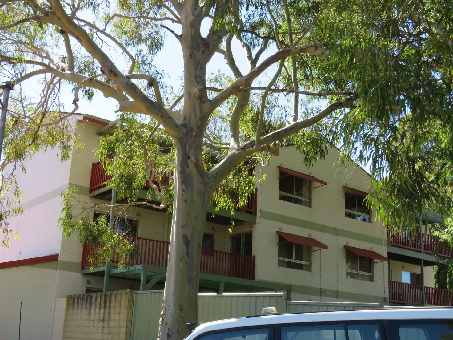 Main view of Homely unit listing, 13/27 Partridge Street, Orelia WA 6167