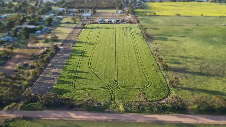 Third view of Homely rural property listing, 48 Venning Terrace, Pinnaroo SA 5304