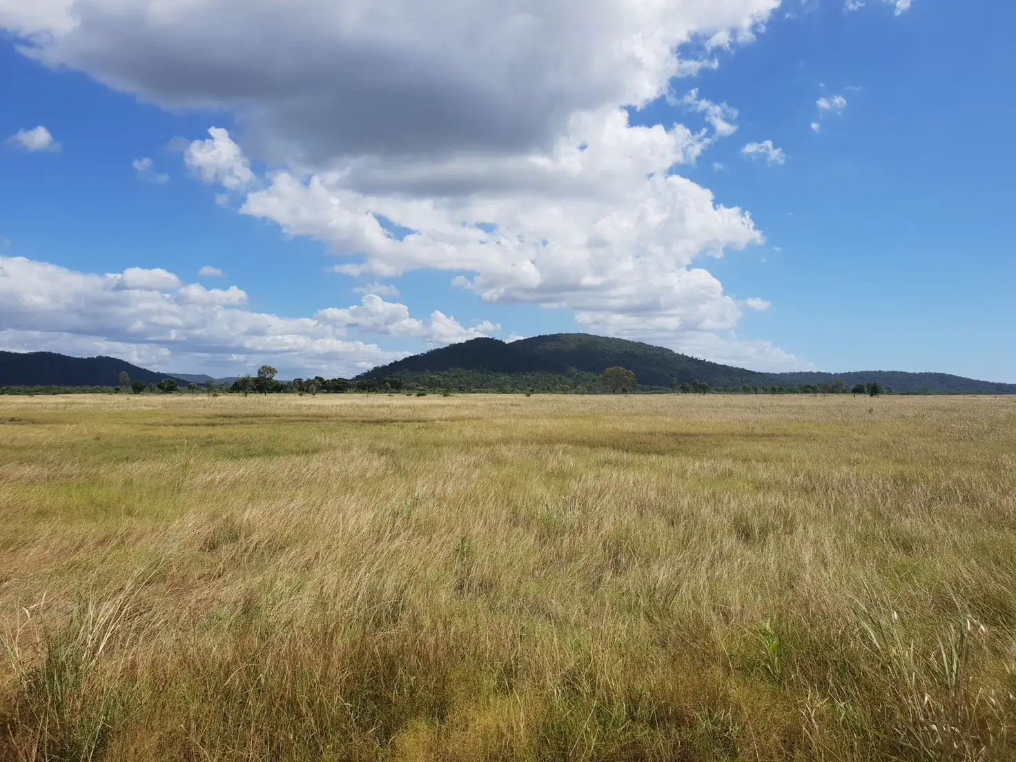 Main view of Homely house listing, 155 Crocodile creek rd, Cape Cleveland QLD 4810