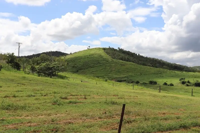 Main view of Homely rural property listing, 610 Darts Creek Road, Darts Creek QLD 4695
