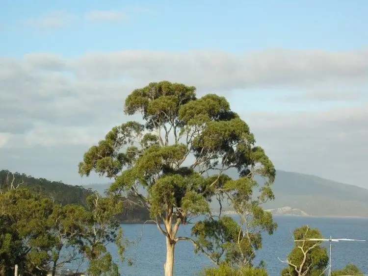 Sixth view of Homely land listing, Lot 8 Channel Highway, Verona Sands TAS 7112