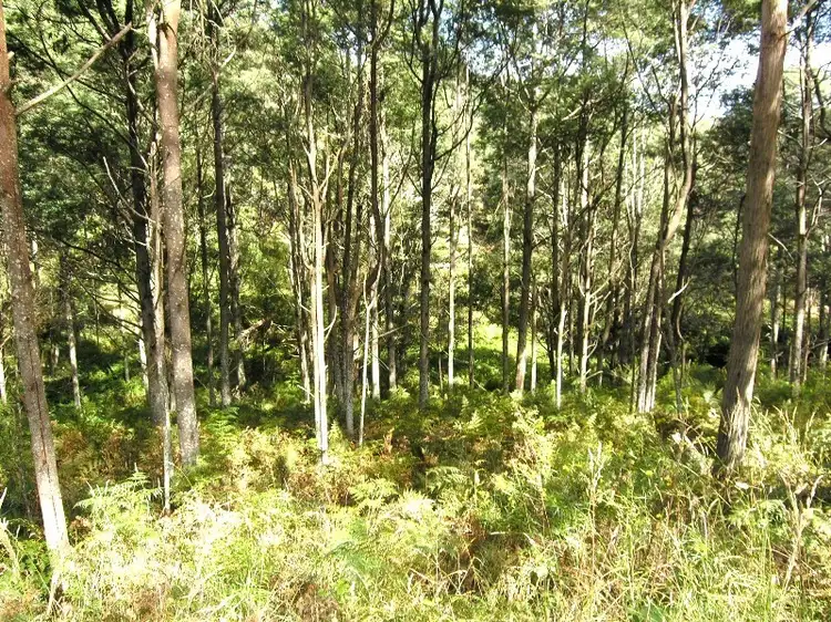 Main view of Homely land listing, Lot 1 Huon Highway, Surges Bay TAS 7116