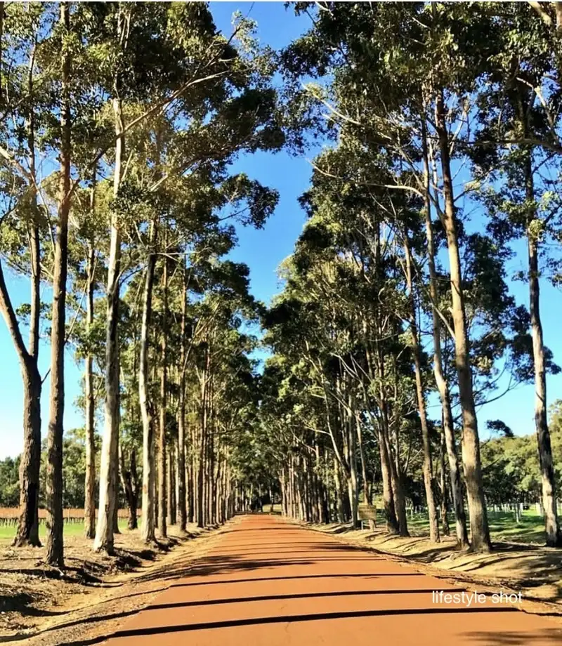 Main view of Homely land listing, 11 Copse Way, Cowaramup WA 6284