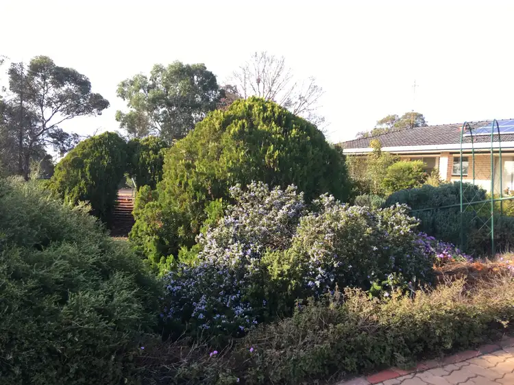 Third view of Homely house listing, 49-53 Monash Avenue, Underbool VIC 3509