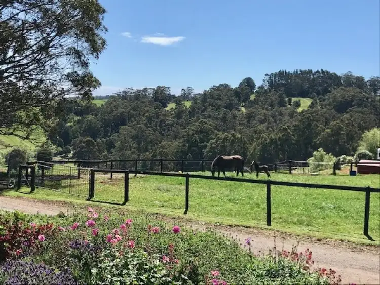 Fifth view of Homely rural property listing, 480 Minna Road, Stowport TAS 7321
