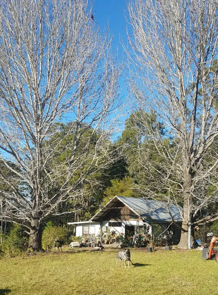 Third view of Homely rural property listing, 285 Irvines Rd, Tewinga NSW 2449