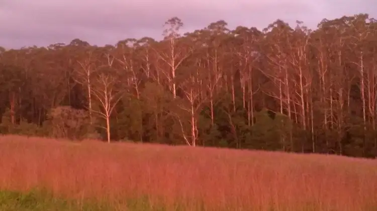 Sixth view of Homely rural property listing, 285 Irvines Rd, Tewinga NSW 2449